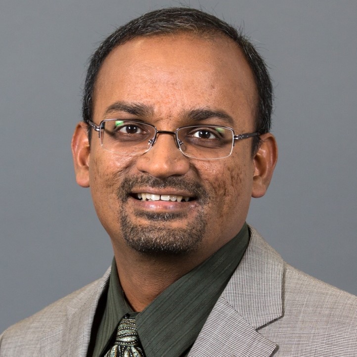 Viswanath Devanarayan, Ph.D.
