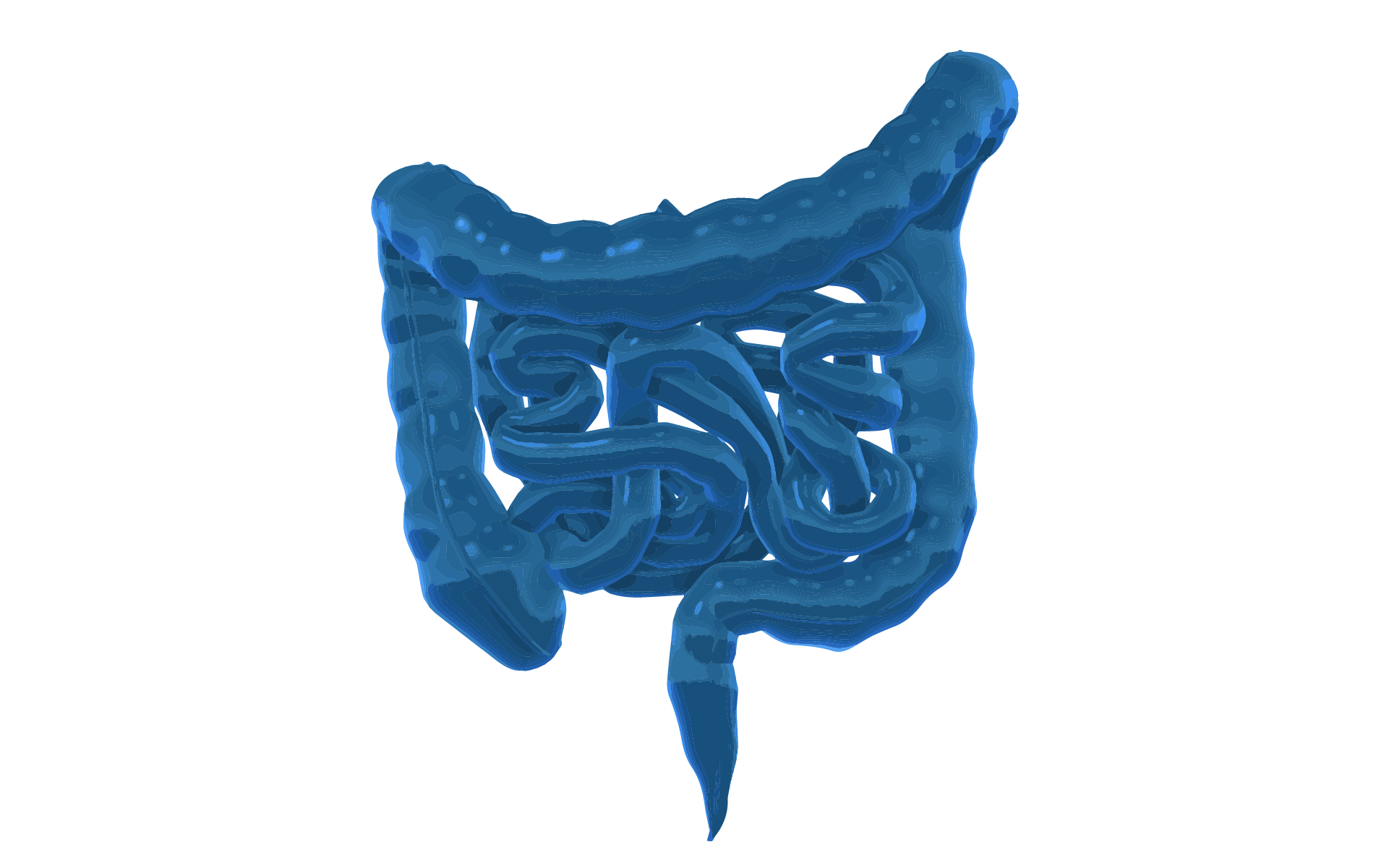 A 3D graphic image of the human gastrointestinal system