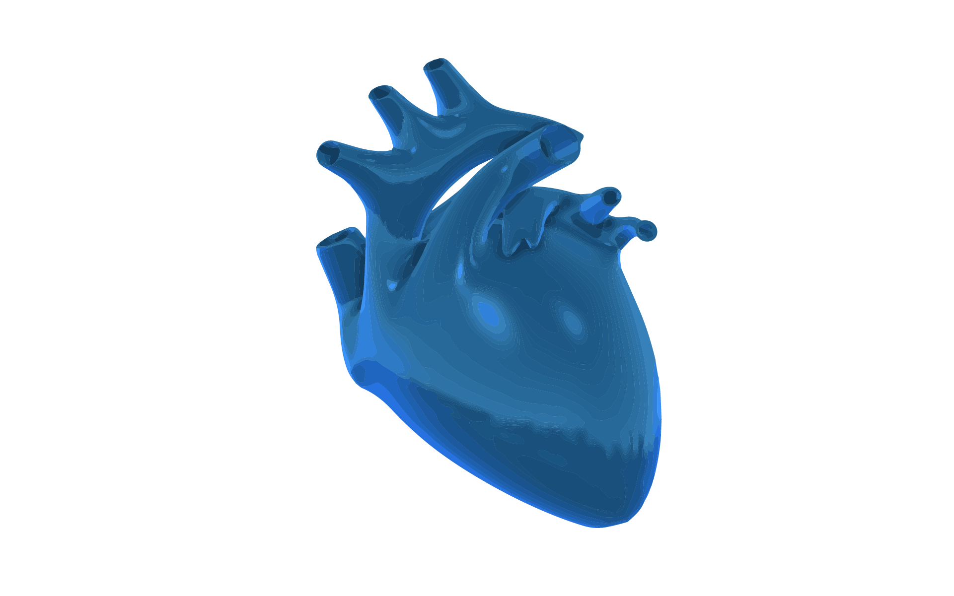 A 3D graphic image of the human heart