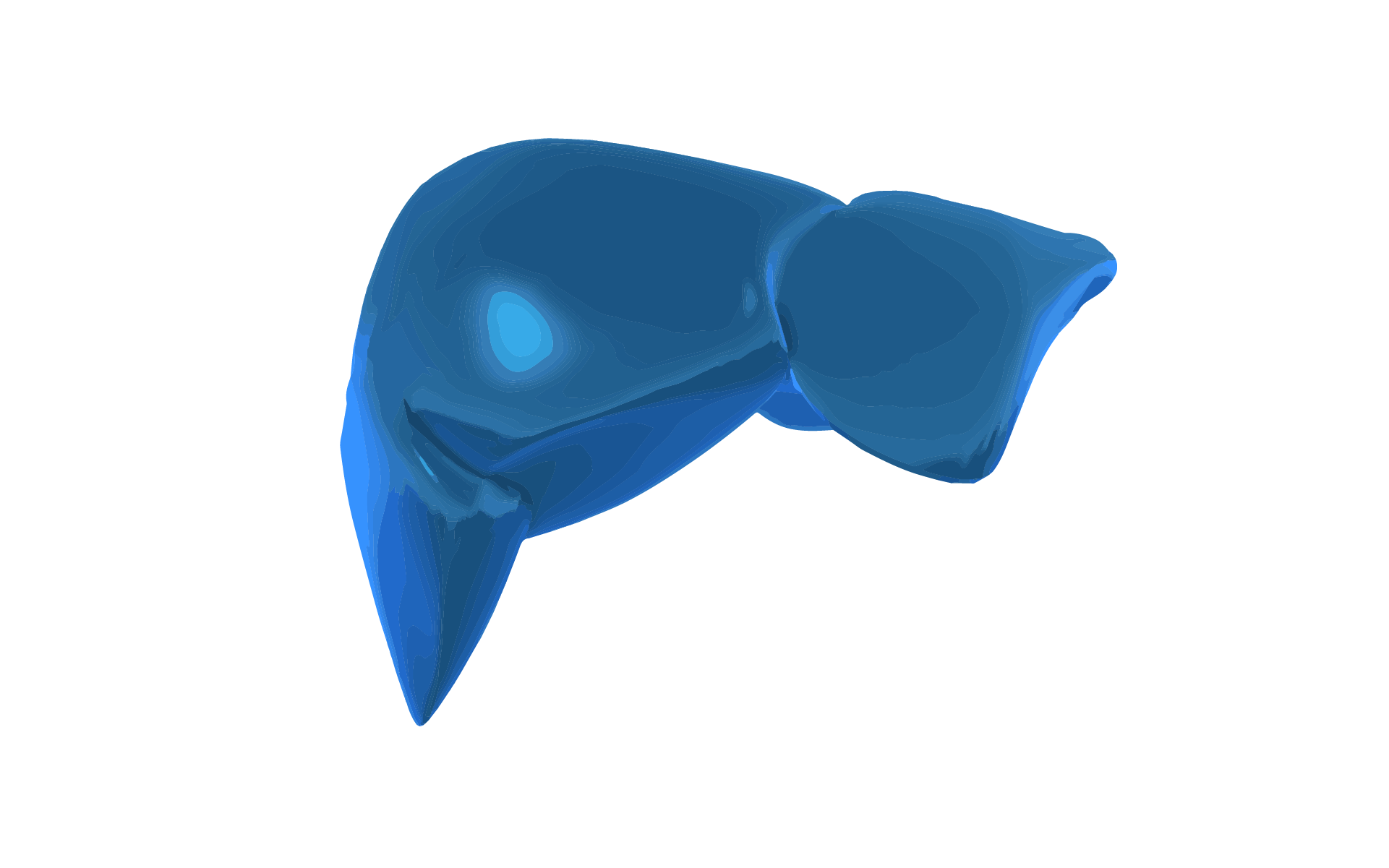A 3D graphic image of the human liver