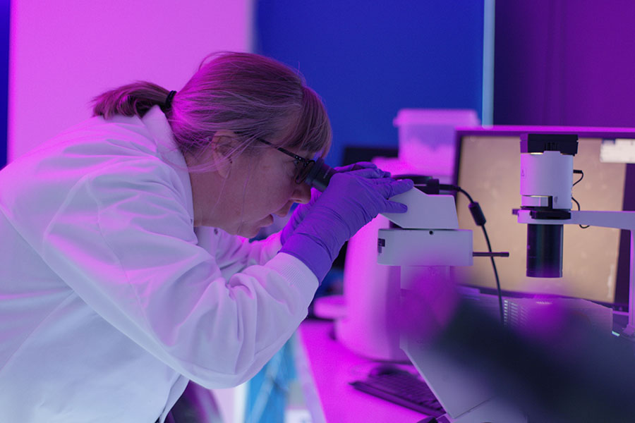 Pam Jacobson, director of Recursion’s High-Throughput Screening Cell Culture Core, examines cells being prepared for the drug discovery platform.