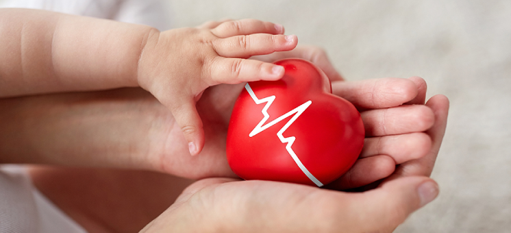 Adult hands and child hands holding a red toy heart 
