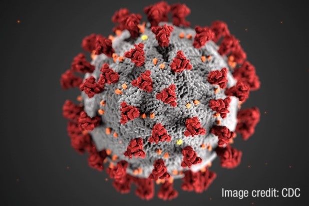 This illustration, created at the Centers for Disease Control and Prevention (CDC), reveals ultrastructural morphology exhibited by coronaviruses. Note the spikes that adorn the outer surface of the virus, which impart the look of a corona surrounding the virion, when viewed electron microscopically. 