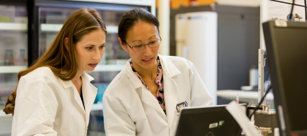 Two clinical researchers working together.