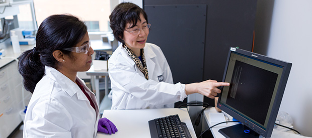 Two clinical researchers are looking at the computer screen.