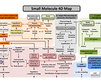 Small 4D Molecule Map