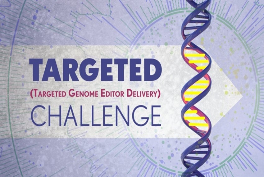Targeted Genome Editor Delivery (TARGETED) Challenge