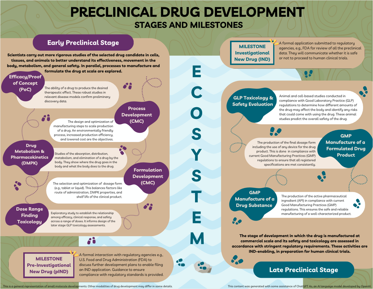 Preclinical Drug Development: Stages and Milestones Infographic. The ecosystem of preclinical drug development, divided into early and late preclinical stages. Emphasis is on the iterative nature of drug development, ensuring regulatory compliance and safety before human clinical trials. Early Preclinical Stage: Scientists carry out more rigorous studies of the selected drug candidate in cells, tissues and animals to better understand its effectiveness, movement in the body, metabolism and general safety. In parallel, processes to manufacture and formulate the drug at scale are explored. Efficacy/Proof of Concept (PoC): The ability of a drug to produce the desired therapeutic effect. These robust studies in relevant disease models confirm preliminary discovery data. Process Development (CMC): The design and optimization of manufacturing steps to scale production of a drug. An environmentally friendly process, increased production efficiency and lowered cost are the objectives. Drug Metabolism & Pharmacokinetics (DMPK): Studies of the absorption, distribution, metabolism and elimination of a drug by the body. They show where the drug goes in the body and what the body does to the drug. Formulation Development (CMC): The selection and optimization of dosage form (e.g., tablet, liquid). This balances factors like route of administration, DMPK properties and shelf life of the clinical product. Dose Range Finding Toxicology: Exploratory study to establish the relationship among efficacy, clinical response and safety across a range of doses. It informs design of the later stage GLP toxicology assessments. Early Preclinical Milestone: Pre-Investigational New Drug (pIND): A formal interaction with regulatory agencies (e.g., U.S. Food and Drug Administration [FDA]) to discuss further development plans to enable filing an IND application. Guidance is provided to ensure compliance with regulatory standards. Late Preclinical Stage includes: GLP Toxicology & Safety Evaluation: Animal and cell-based studies conducted in compliance with Good Laboratory Practice (GLP) regulations to determine how different amounts of the drug may affect the body and identify any risks that could come with using the drug. These animal studies predict the overall safety of the drug. GMP Manufacture of a Formulated Drug Product: The production of the final dosage form including the use of any device for the drug product. This is done in compliance with current Good Manufacturing Practices (GMP) regulations to ensure that all registered specifications are met consistently. GMP Manufacture of a Drug Substance: The production of the active pharmaceutical ingredient in compliance with GMP regulations. This ensures the safe and reliable manufacturing of a well-characterized product. Late Preclinical Milestone: IND: A formal application submitted to regulatory agencies (e.g., FDA) for review of all the preclinical data. The agencies will communicate whether it is safe to proceed to human clinical trials. The stage of development in which the drug is manufactured at commercial scale and its safety and toxicology are assessed in accordance with stringent regulatory requirements. These activities are IND-enabling, in preparation for human clinical trials. This is a general representation of small molecule developments. Other modalities of drug development may differ in some details. Note: This content was generated with some assistance from ChatGPT-4o, an AI language model developed by OpenAI.