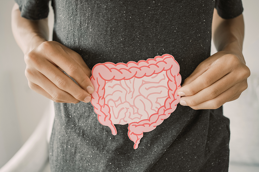 Close up of hands holding a paper colon and intestines.