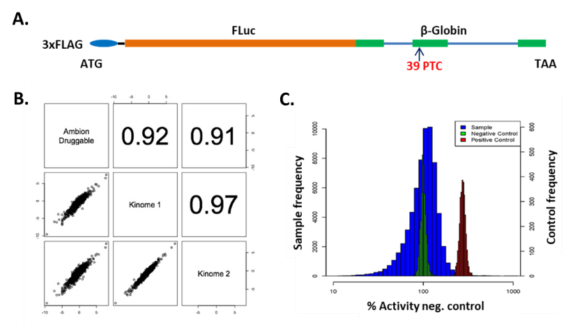 High-throughput siRNA screen for modulators of the nonsense-mediated mRNA decay (NMD) pathway