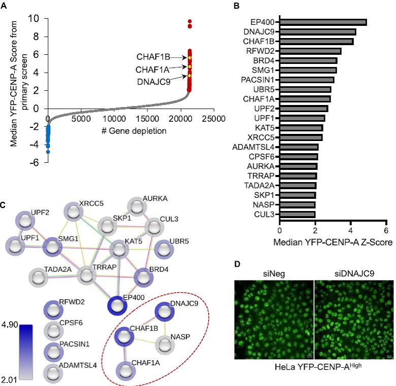 Results from an FGL screen. ((C) Ken Cheng)