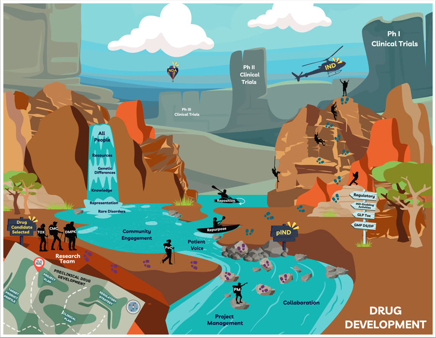 Depiction of the drug development process as a metaphorical journey through a canyon with a central river. The process begins with selecting a drug candidate and assembling a multidisciplinary research team. The journey encompasses preclinical development through to investigational new drug (IND) application. The river emphasizes that community engagement and patient advocacy run through all steps in the journey to New Drug Application (NDA). A kayak and canoe in the river indicate optional paths for repurposed or repositioned drugs. Key team members making the journey include Toxicology, (Tox) Chemistry, Manufacturing & Controls (CMC), Drug Metabolism and Pharmacokinetics (DMPK), Proof of Concept, (PoC) and Project Management (PM). After crossing the river, the team arrives at the pre-investigational new drug (pIND) milestone. Following directional signs for regulatory, IND-enabling activities, Good Laboratory Practice (GLP) Toxicology, and Good Manufacturing Practice (GMP) Drug Substance/Drug Product (DS/DP), team members climb up a cliff. When they arrive at the top, they are greeted by a helicopter representing the IND milestone. On distant canyon peaks, clinical trial Phases 1 through 3 are featured. A hot air balloon on the horizon symbolizes the ultimate NDA for approval for human use in clinical care.