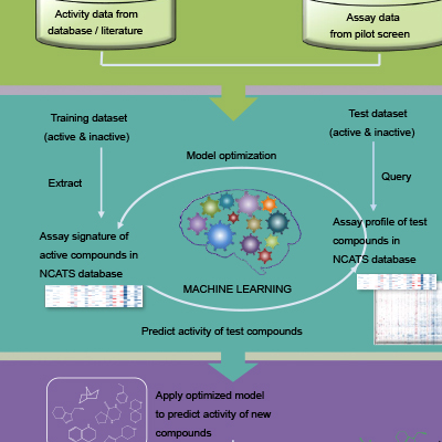 A flow chart depicting the biological activity–based modeling (BABM) process,