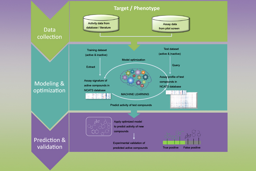 A diagram of a new biological activity-based modeling approach to improve drug development.