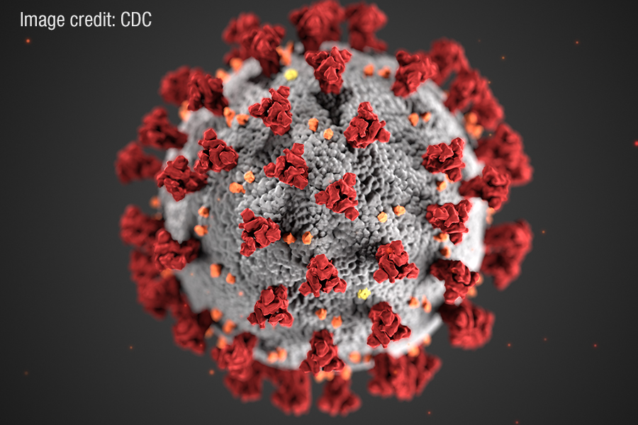 A coronavirus.