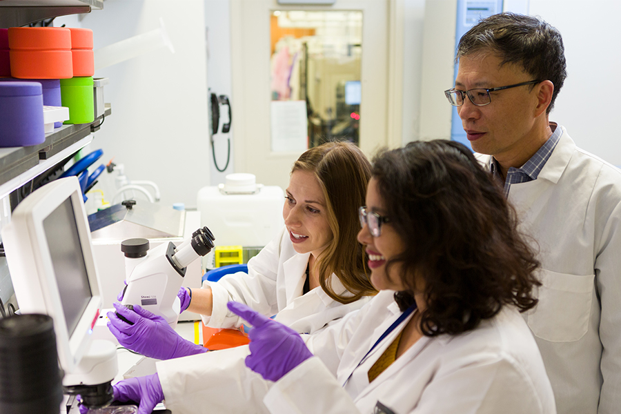 Working directly with NCATS researchers, young scientists in the Division of Preclinical Innovation’s fellows program learn translational science fundamentals such as team-based collaboration and multidisciplinary research skills. Credit: Daniel Soñé Photography