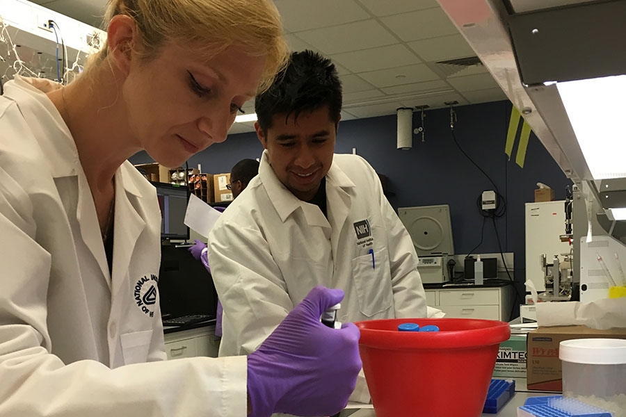 Patricia K. Dranchak, Ph.D., shows a lab technique to 2018 summer intern Bryan Queme.