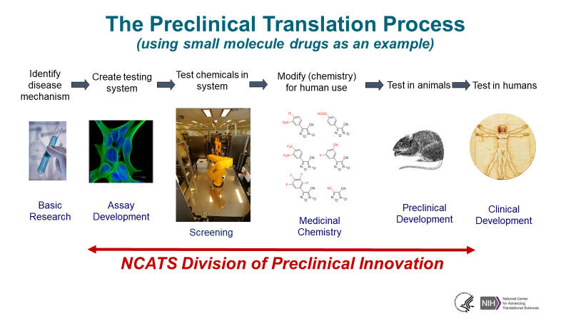 The Preclinical Translation Process