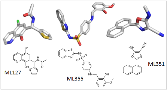 The chemical structures of small molecule probes used by scientists to understand the role of the lipoxygenase family of enzymes in health and disease.