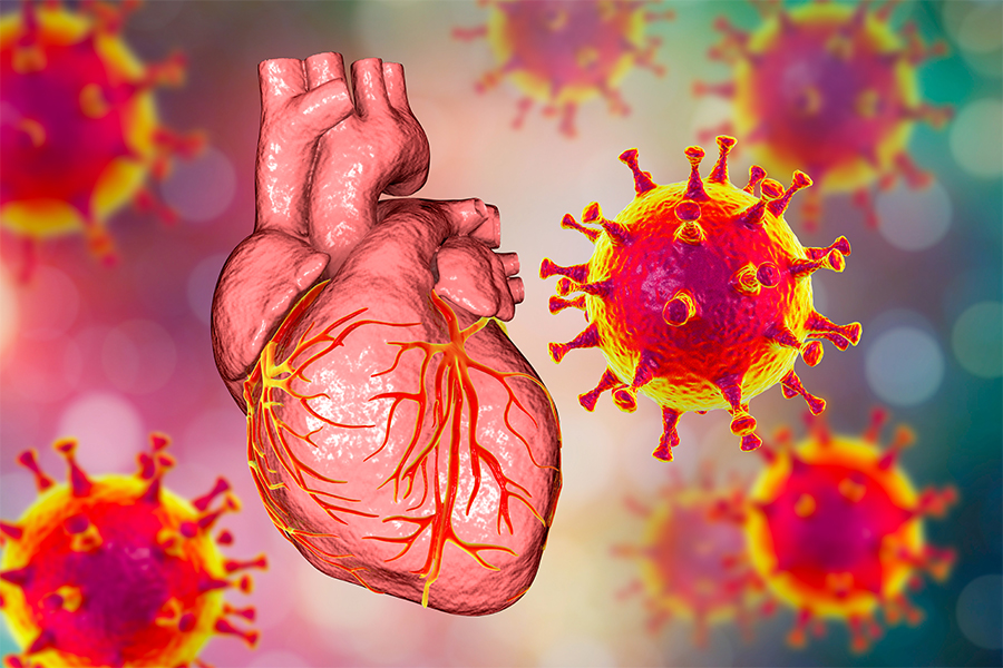 3D illustration of coronavirus disease affecting the heart.