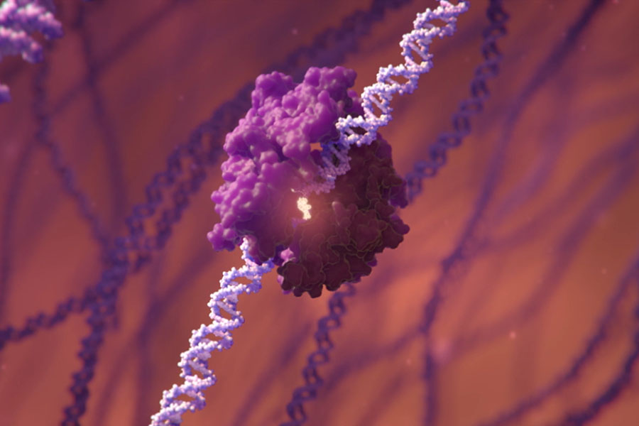 An illustration depicts a genome editing tool bound to a DNA helix. New genome editing tools can substitute single “letters” in the DNA code without changing the surrounding DNA structure.
