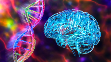 3D illustration of a human brain and a DNA strand.