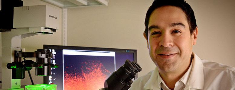 Cell biologist Shawn Hingtgen, Ph.D., in his lab
