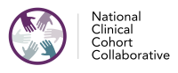 N3C logo